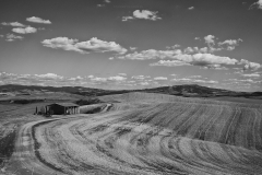 Val d'Orcia 14