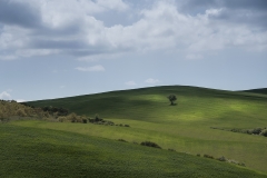 Val d'Orcia 5