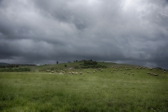 Val d'Orcia 8