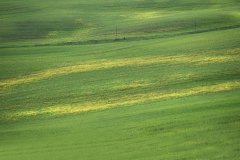 Val d'Orcia 11