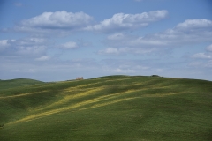 Val d'Orcia 13