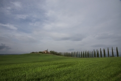 Val d'Orcia 14