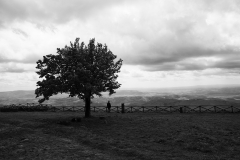 Val d'Orcia 11