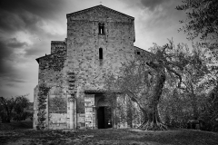 Val d'Orcia 4